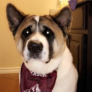 Meet your Posher, Tara harrison